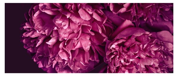 Slika - Buket božura (120x50 cm)