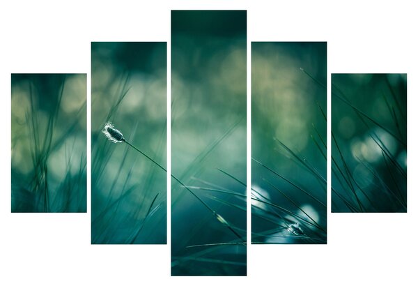 Slika - Detalj trave (150x105 cm)