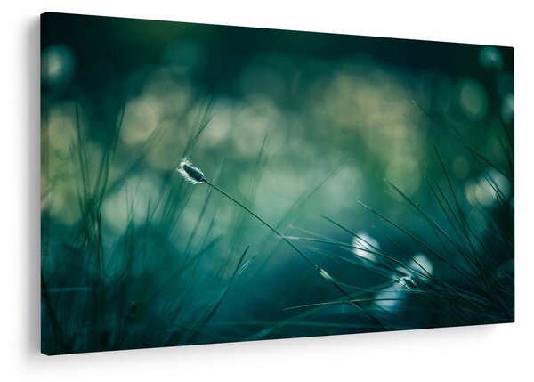 Slika - Detalj trave (90x60 cm)