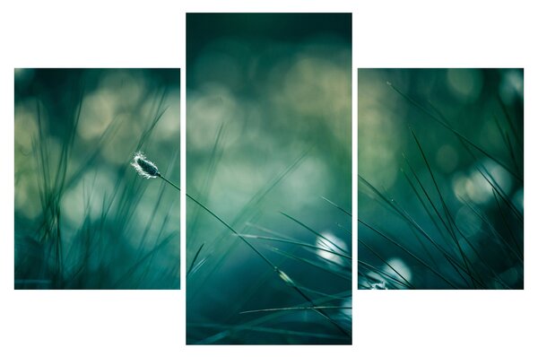Slika - Detalj trave (90x60 cm)
