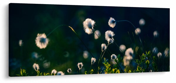 Slika - Trava (120x50 cm)