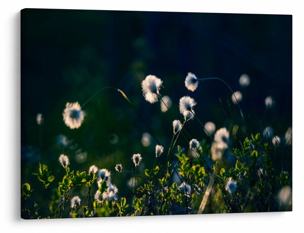 Slika - Trava (70x50 cm)