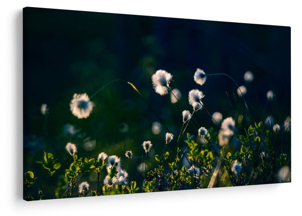 Slika - Trava (90x60 cm)