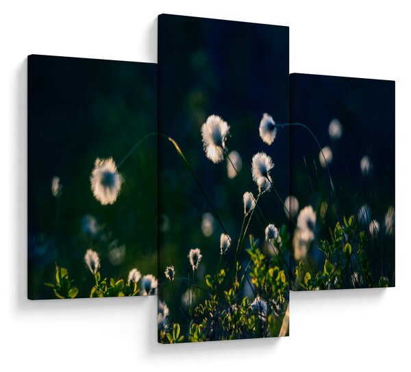 Slika - Trava (90x60 cm)