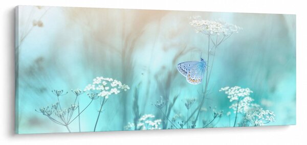 Slika - Leptirić u plavom (120x50 cm)