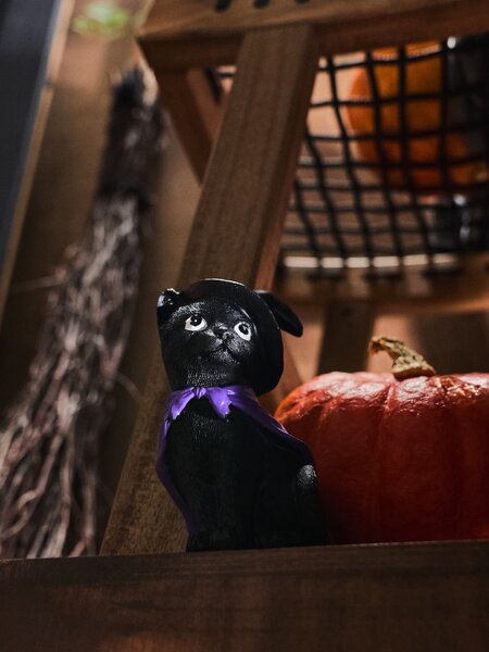 Sinsay - Stojeća ukrasna figura mačke za Halloween