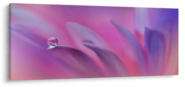 Slika - Kap na cvijetu (120x50 cm)