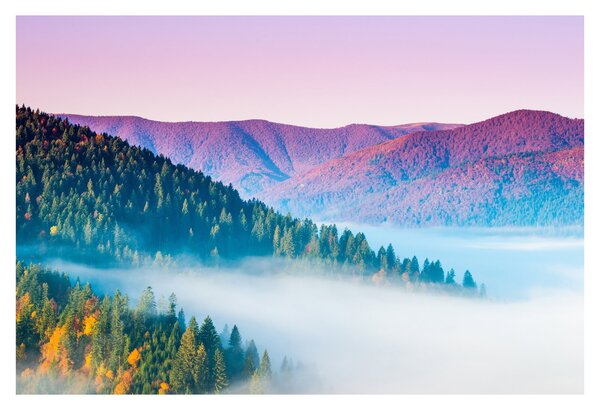 Slika - Panorama 2 (90x60 cm)