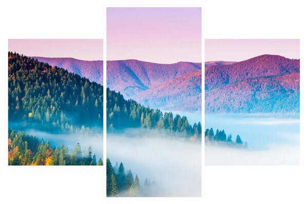 Slika - Panorama 2 (90x60 cm)