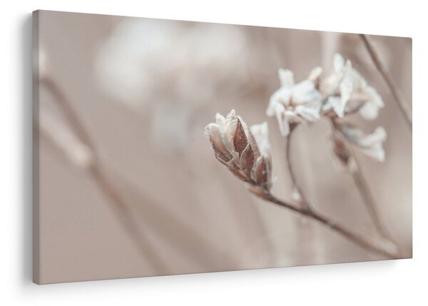 Slika - Detalj grane (90x60 cm)