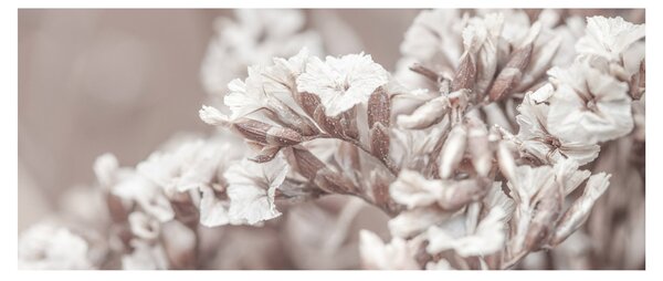 Slika - Detalj grančica (120x50 cm)