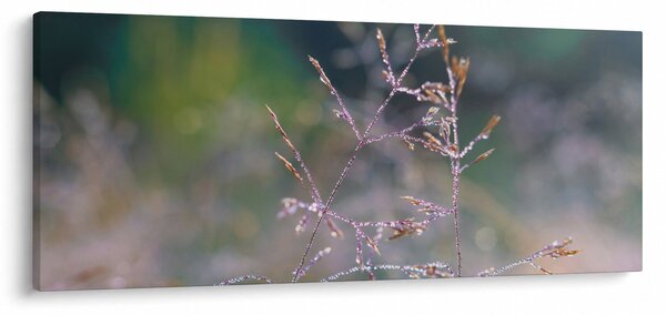 Slika - Detalj trave (120x50 cm)