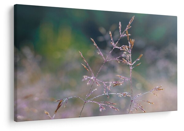 Slika - Detalj trave (90x60 cm)