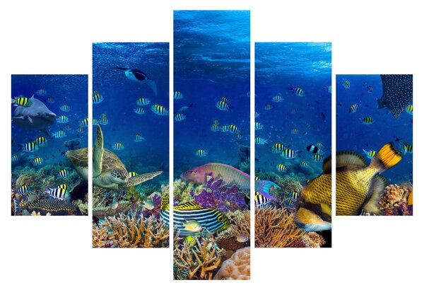 Slika - Ocean (150x105 cm)