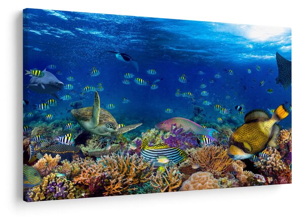 Slika - Ocean (90x60 cm)