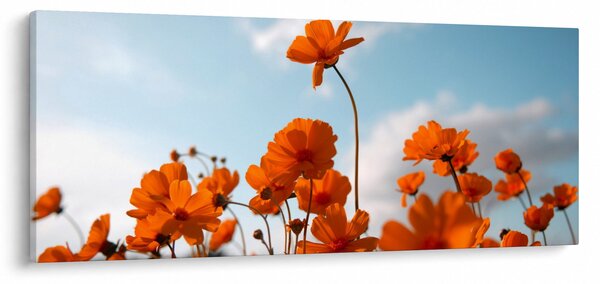 Slika - Livadsko cvijeće (120x50 cm)