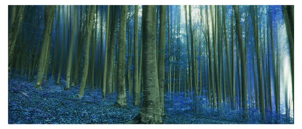 Slika - Plava šuma (120x50 cm)