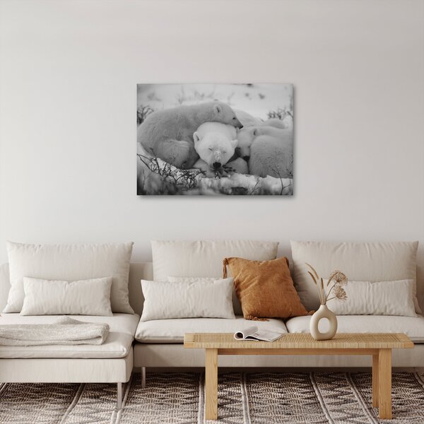 Slika - Polarni medvjedi, crno-bijela (70x50 cm)