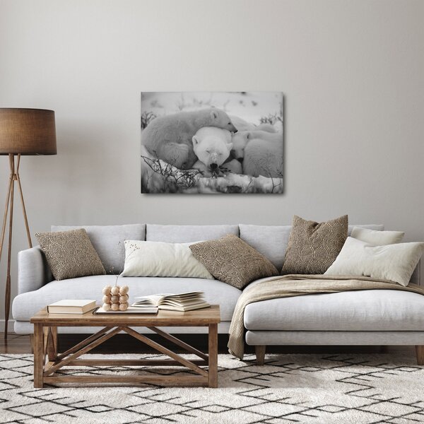 Slika - Polarni medvjedi, crno-bijela (70x50 cm)