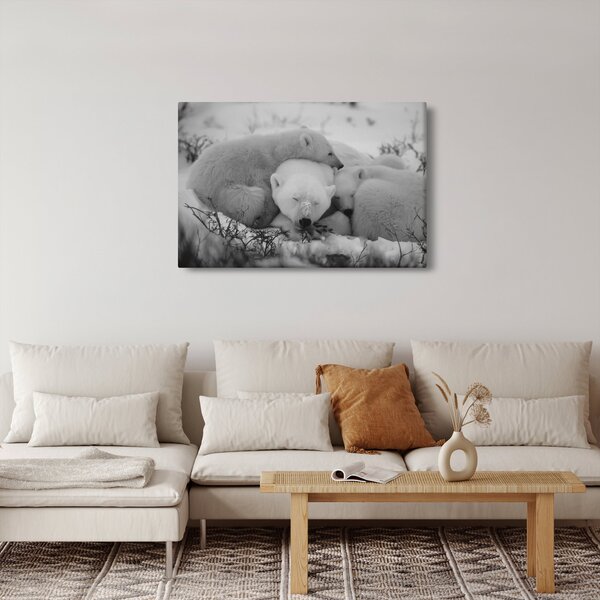 Slika - Polarni medvjedi, crno-bijela (90x60 cm)