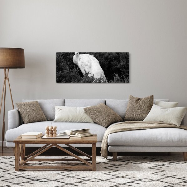 Slika - Paun, crno-bijela (120x50 cm)