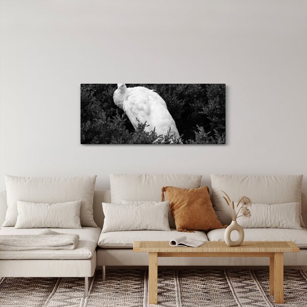 Slika - Paun, crno-bijela (120x50 cm)