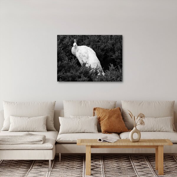 Slika - Paun, crno-bijela (70x50 cm)