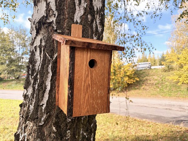 ATMOWOOD Drvena kućica za ptice s korom