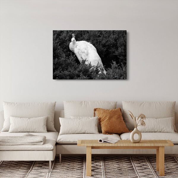 Slika - Paun, crno-bijela (90x60 cm)