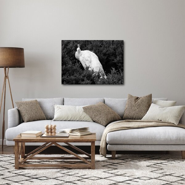 Slika - Paun, crno-bijela (70x50 cm)