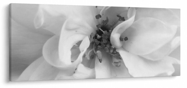 Slika - Cvijet, crno-bijela (120x50 cm)