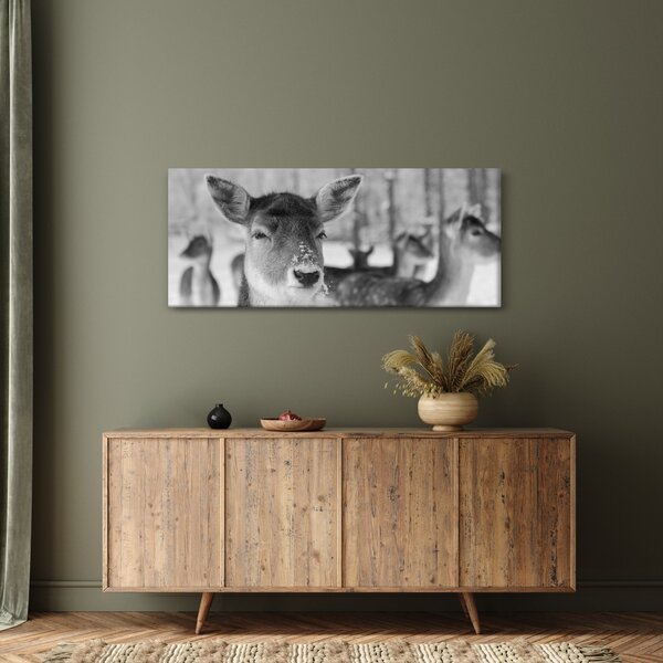 Slika - Bambi, crno-bijela (120x50 cm)