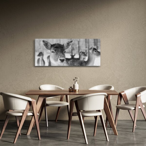 Slika - Bambi, crno-bijela (120x50 cm)