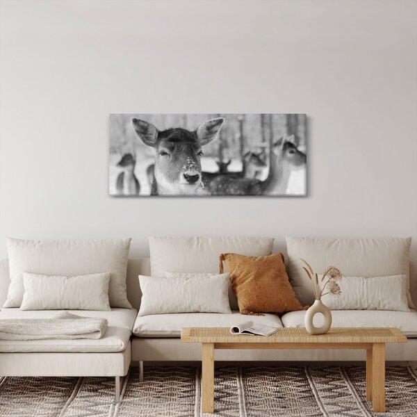 Slika - Bambi, crno-bijela (120x50 cm)