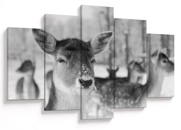Slika - Bambi, crno-bijela (150x105 cm)