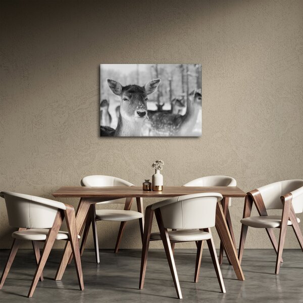 Slika - Bambi, crno-bijela (70x50 cm)