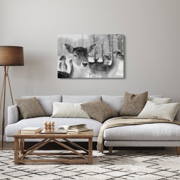 Slika - Bambi, crno-bijela (90x60 cm)
