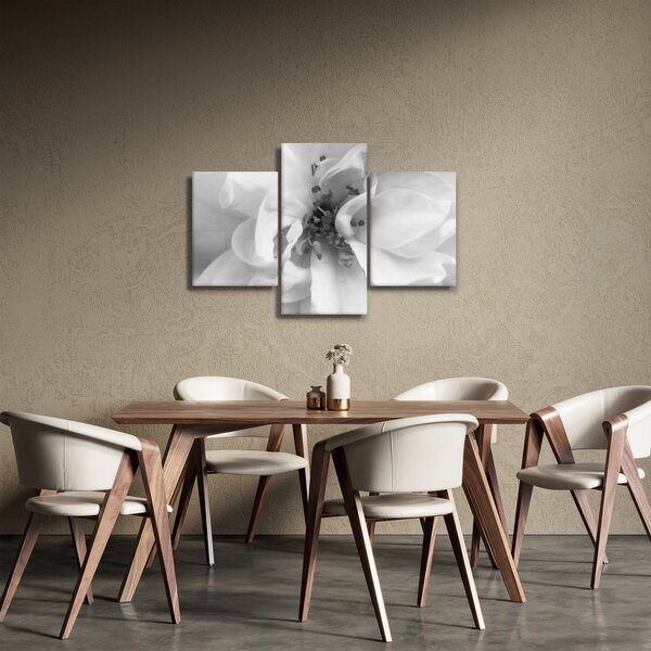 Slika - Cvijet, crno-bijela (90x60 cm)