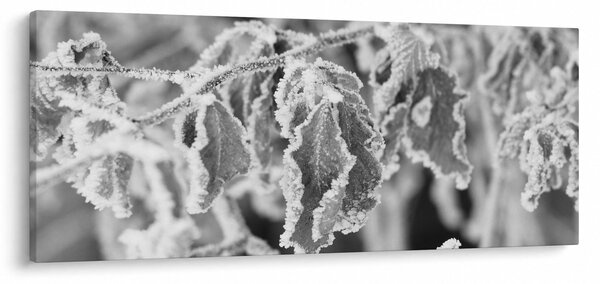 Slika - Smrznuto lišće, crno-bijela (120x50 cm)