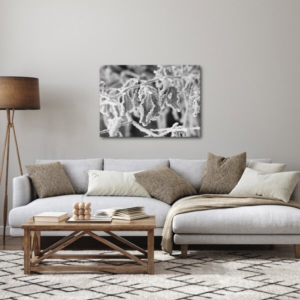 Slika - Smrznuto lišće, crno-bijela (70x50 cm)