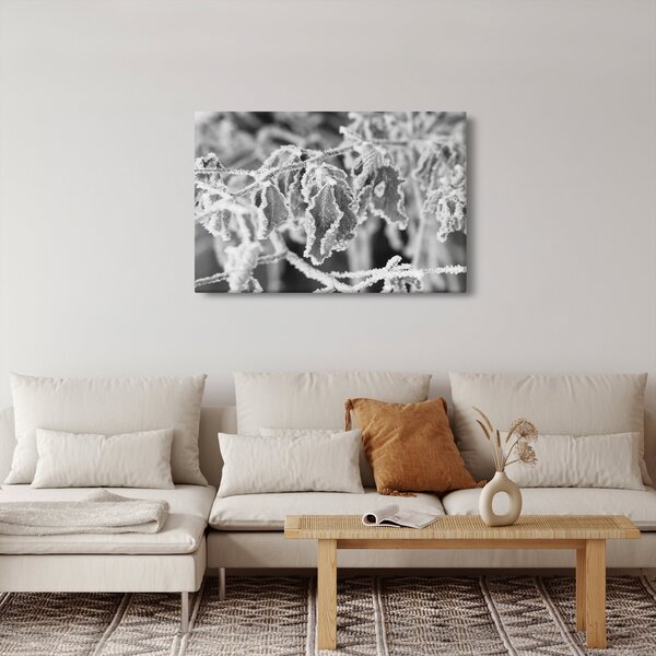 Slika - Smrznuto lišće, crno-bijela (90x60 cm)