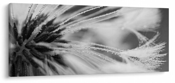 Slika - Makro, crno-bijela (120x50 cm)