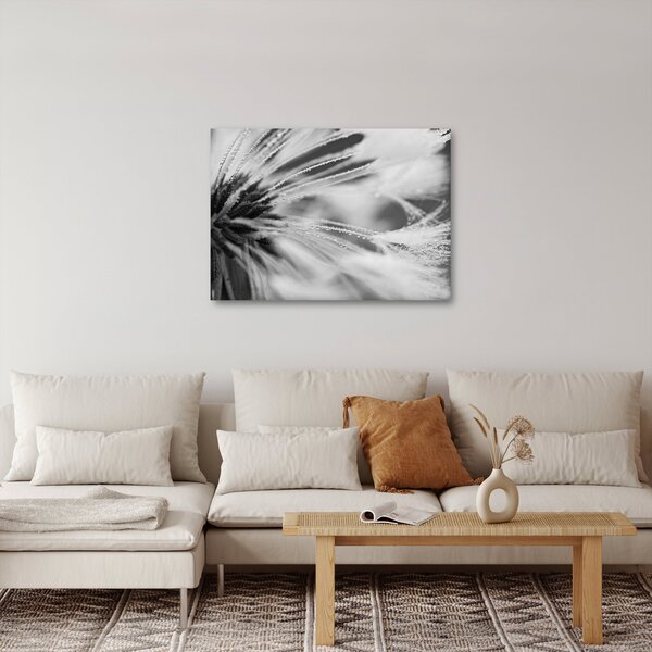 Slika - Makro, crno-bijela (70x50 cm)