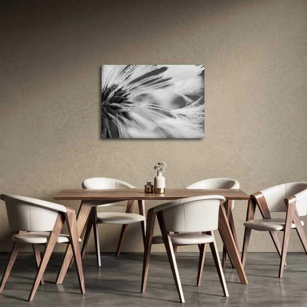 Slika - Makro, crno-bijela (70x50 cm)