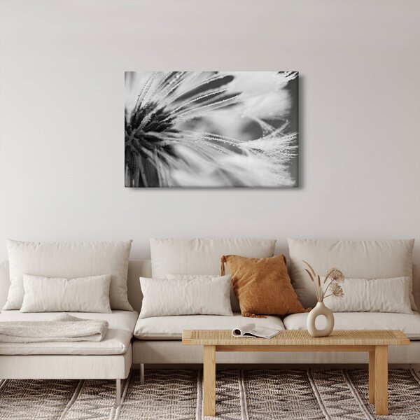 Slika - Makro, crno-bijela (90x60 cm)