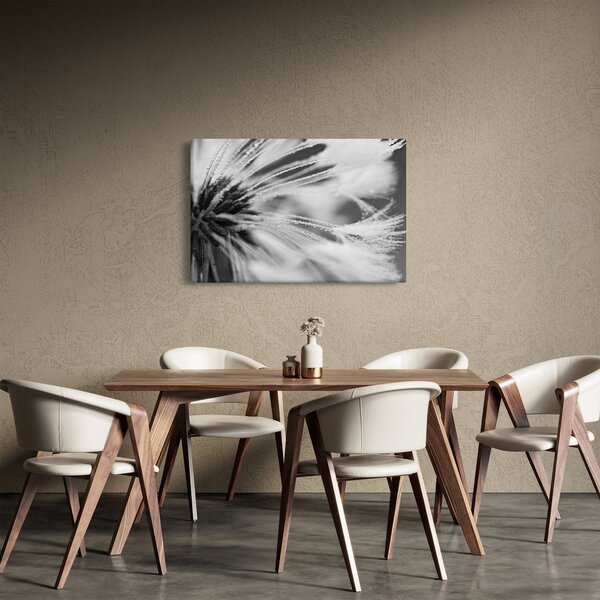 Slika - Makro, crno-bijela (90x60 cm)