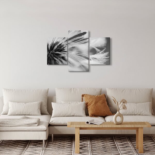 Slika - Makro, crno-bijela (90x60 cm)