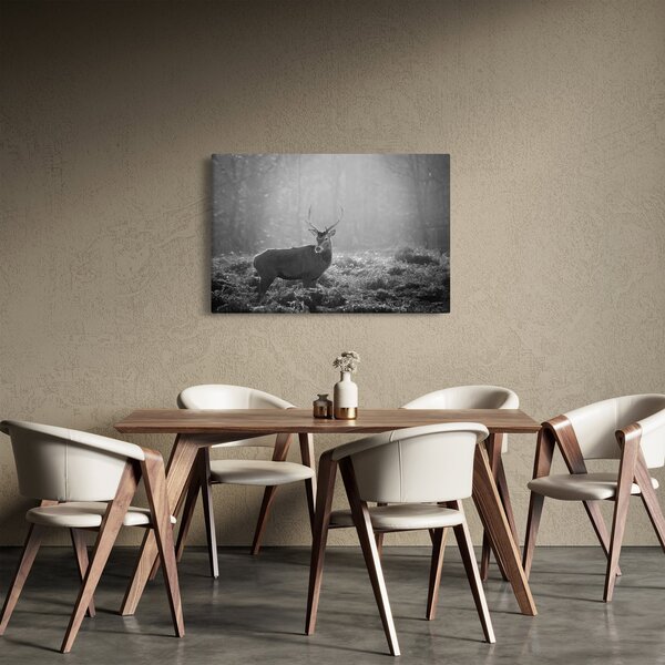 Slika - Jelen u šumi, crno-bijela (90x60 cm)