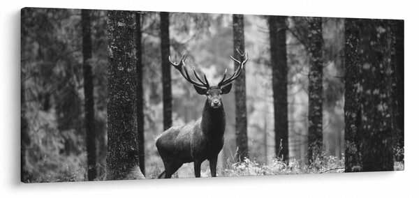 Slika - Jelen u šumi 2, crno-bijela (120x50 cm)
