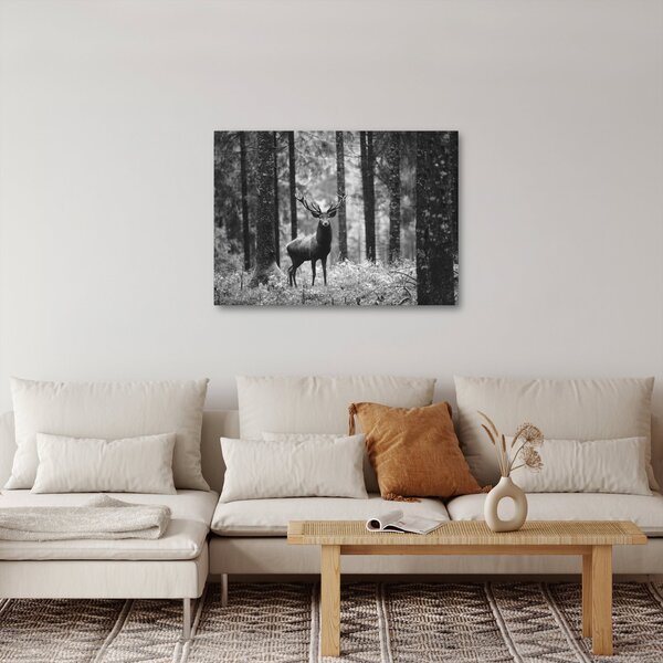 Slika - Jelen u šumi 2, crno-bijela (70x50 cm)